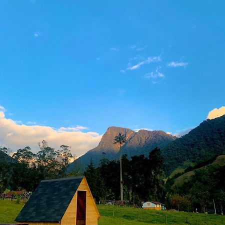 Refugio Nidos Del Condor Cocora Salento Bagian luar foto