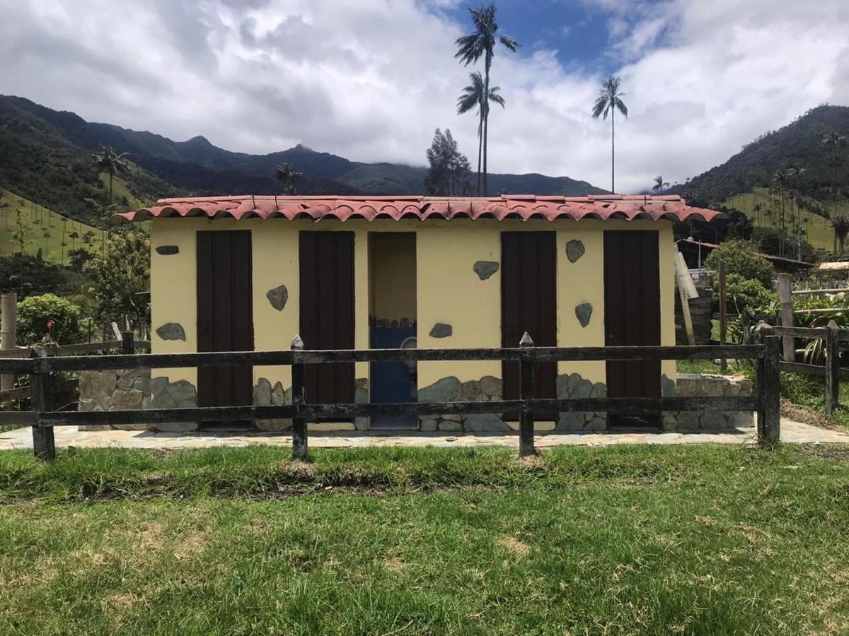 Refugio Nidos Del Condor Cocora Salento Bagian luar foto