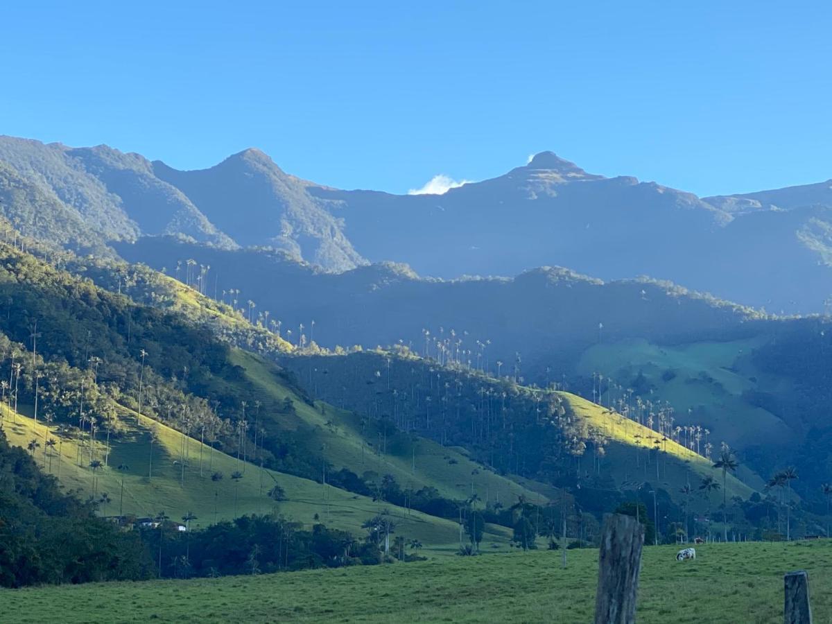 Refugio Nidos Del Condor Cocora Salento Bagian luar foto
